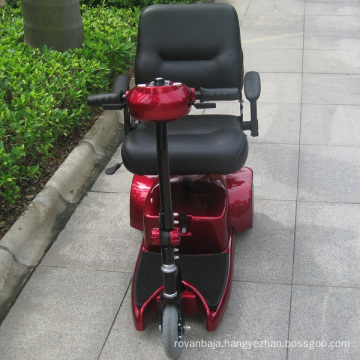 Electric Mobility Scooter 3 Wheel for Elderly (DL24250-1)